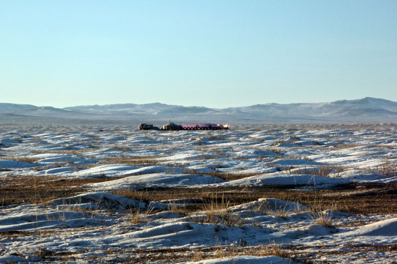 Mongolie